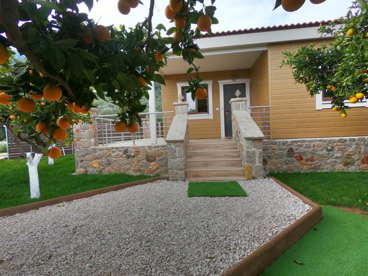 Desa Green Homes Epidaurus Екстериор снимка