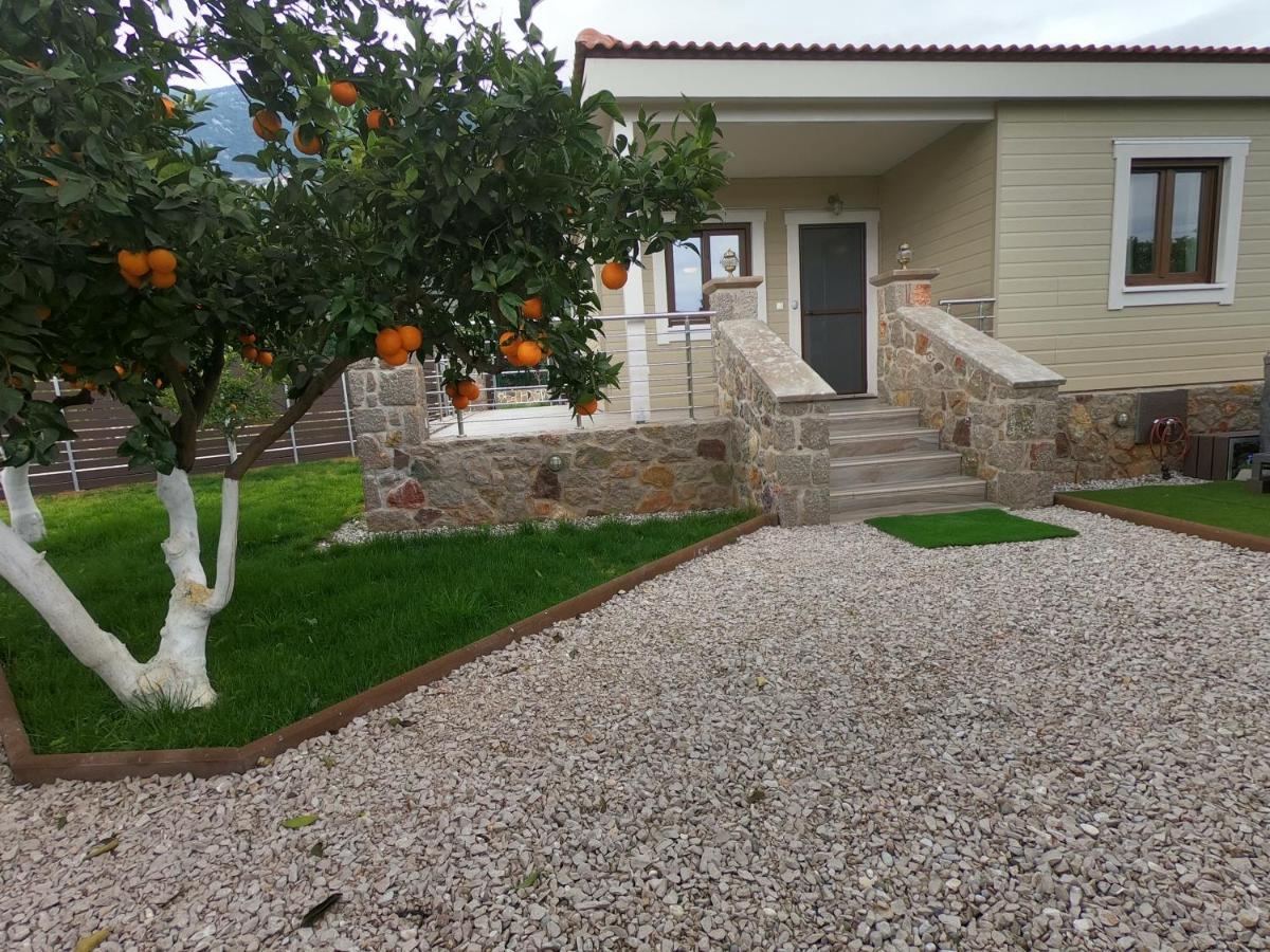 Desa Green Homes Epidaurus Екстериор снимка
